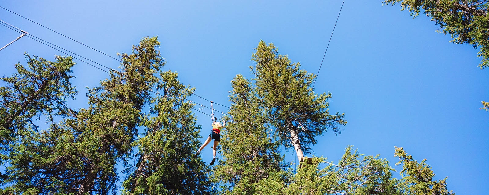 Jente i klatrepark høyt oppe i tretoppene