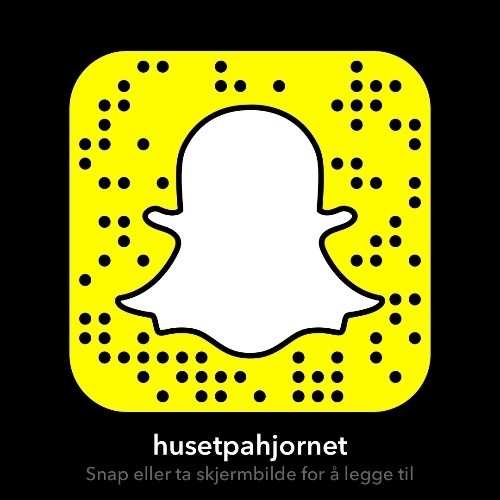 Instagramlogo Fellesverket