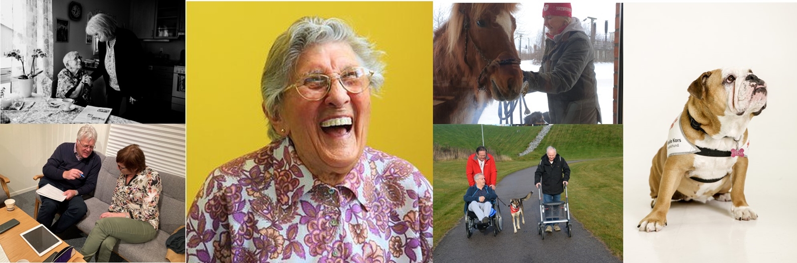 Collage liv i verdighet