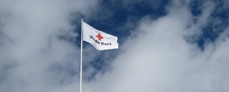 flagg vaier i vinden