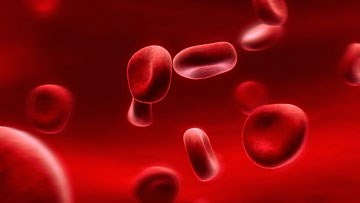 Liten-blodceller