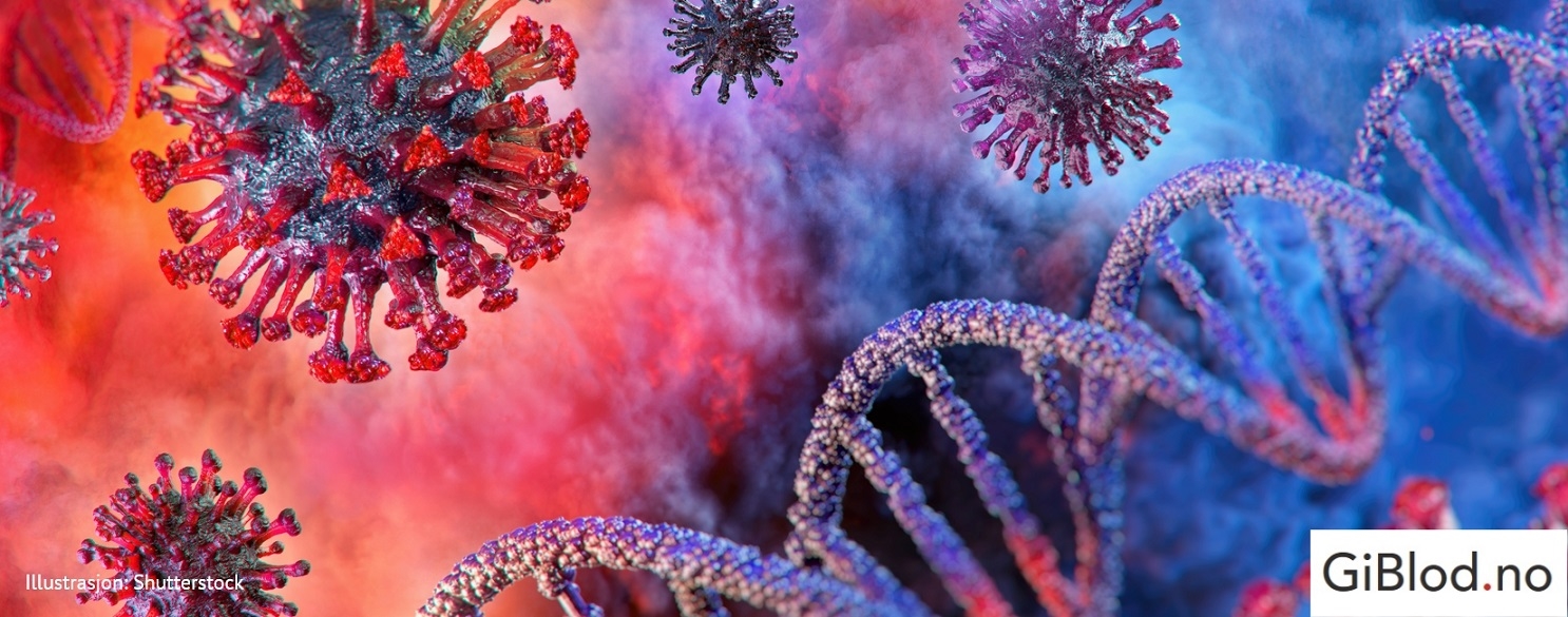 Bilde av koronavirusceller 