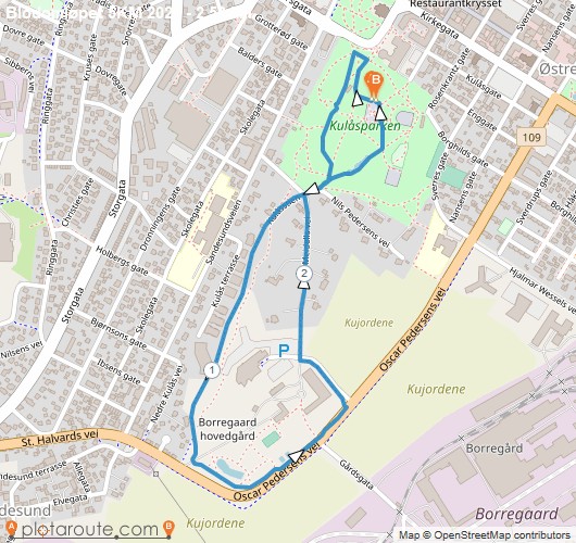 Blodomløpet 5KM 2026.jpg