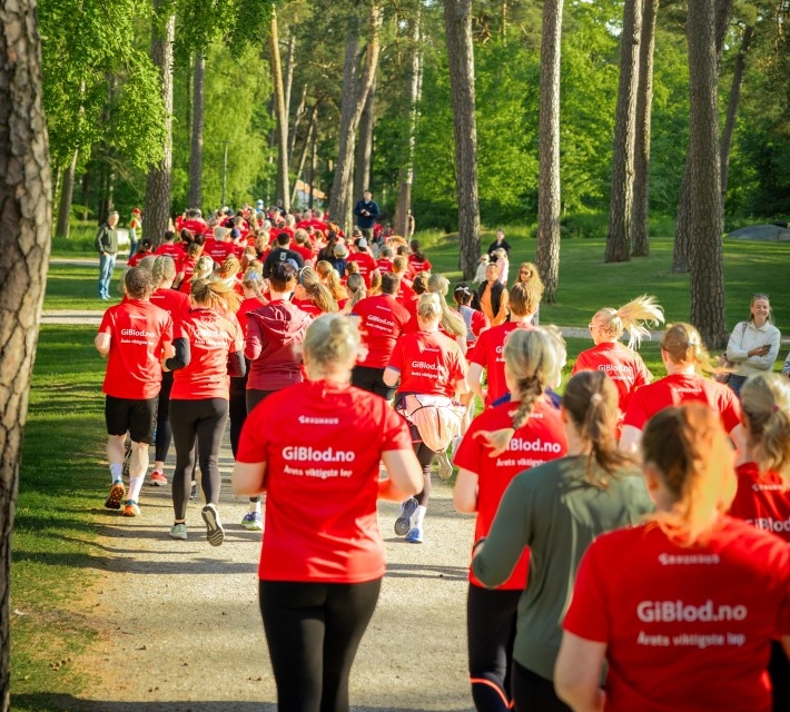 En stor gjeng med løpere