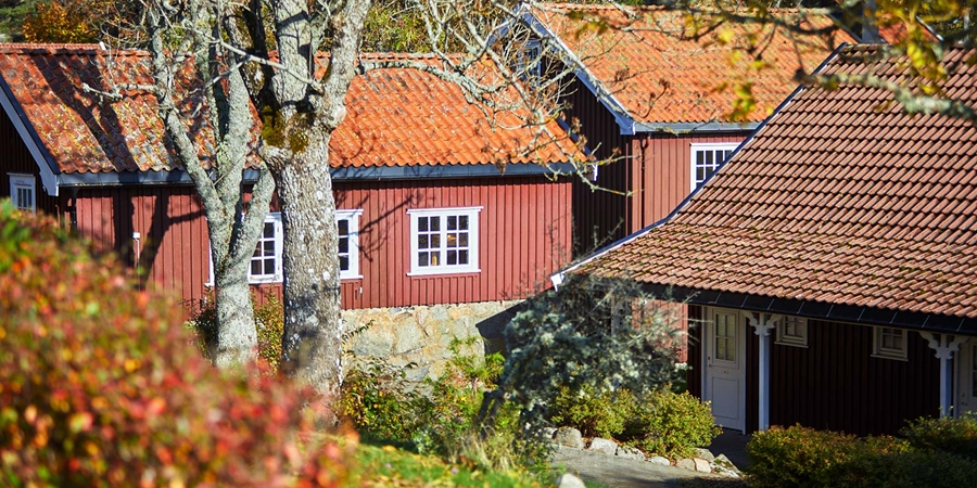 røde trehus i høstfarger