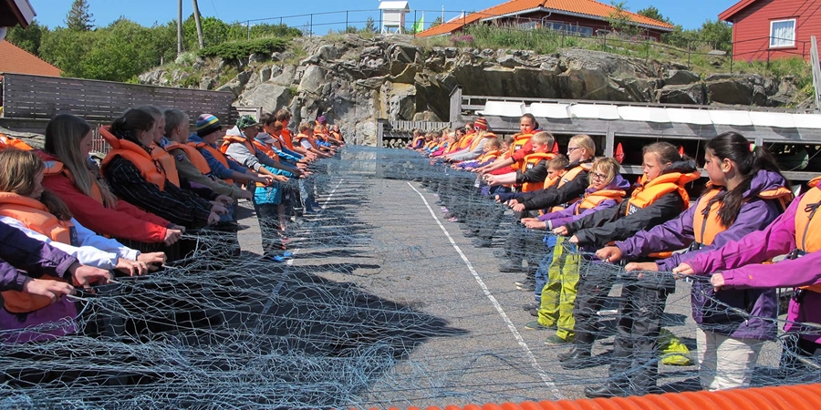 Barn i 2 rekker som strekker et stort fiskegarn, ute sol, sommer, brygge