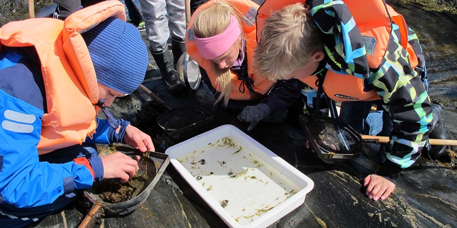 Barn rundt kar med sjødyr, ute sommer, sol, brygge