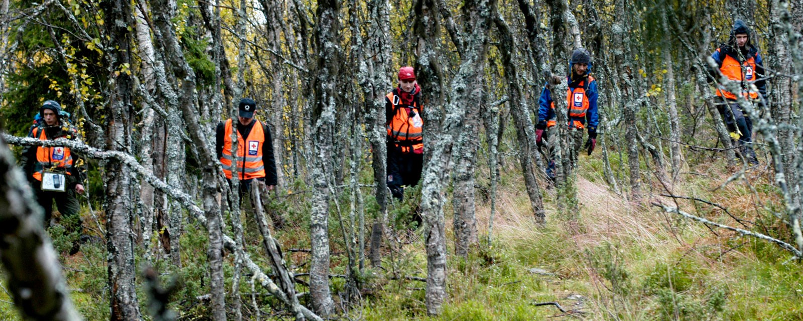 Frivillige leter etter savnet i skogen