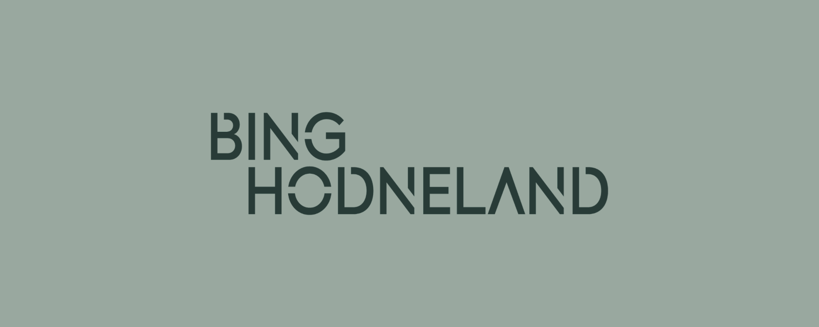 Bing Hodneland logo