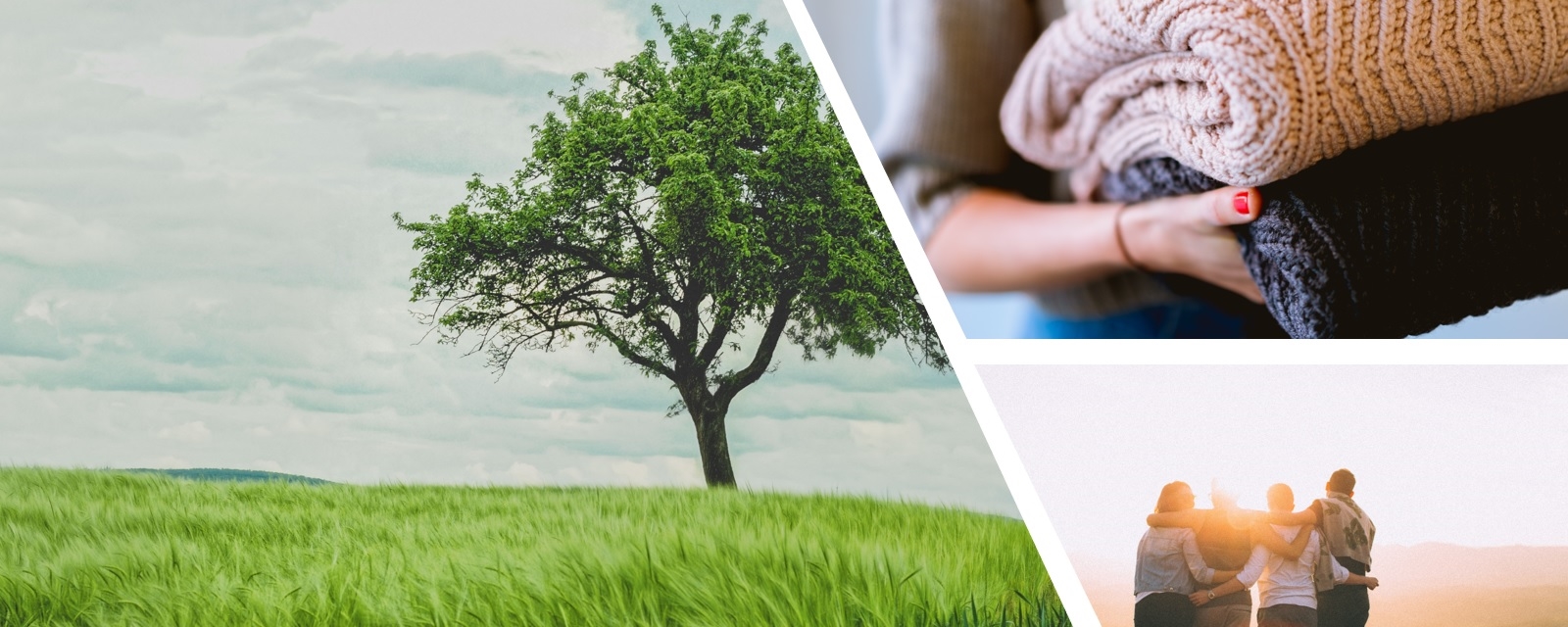 Tre, klær og vennegjeng