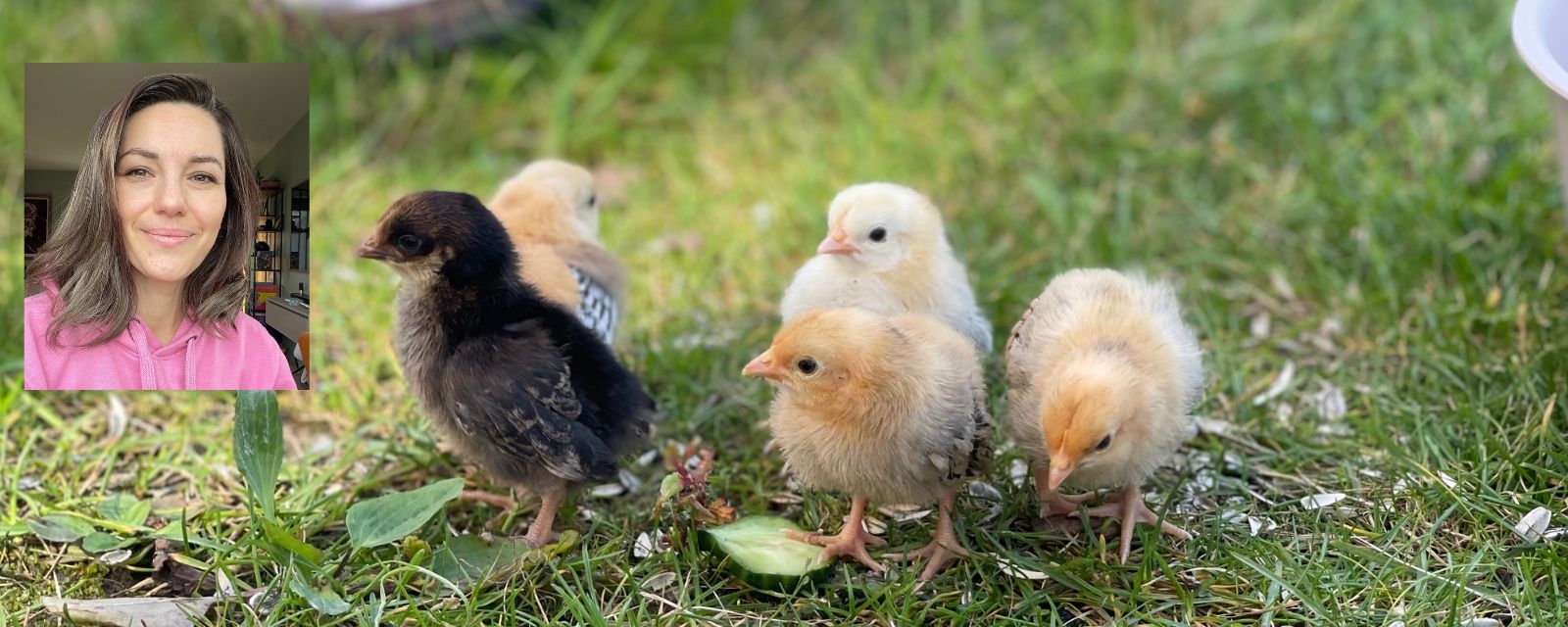 Seldas nyeste familiemedlem