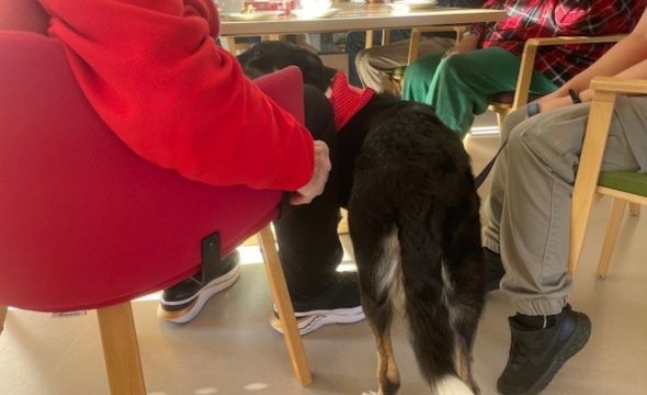 Charlie tar runden rundt bordet for kos