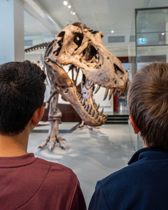 gutter ser på dinosaurskjelett