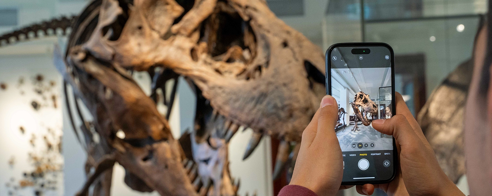 et barn tar bilde av et dinosurskjelett