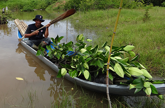 En mann sitter i en båt med mange planter om bord.