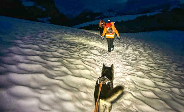 leteaksjon  med hund i snø og mørke