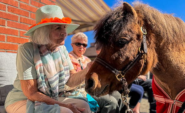 Annethe Vodrup hilser på shetlandsponnien Melvin utenfor Østsiden dagsenter i Fredrikstad