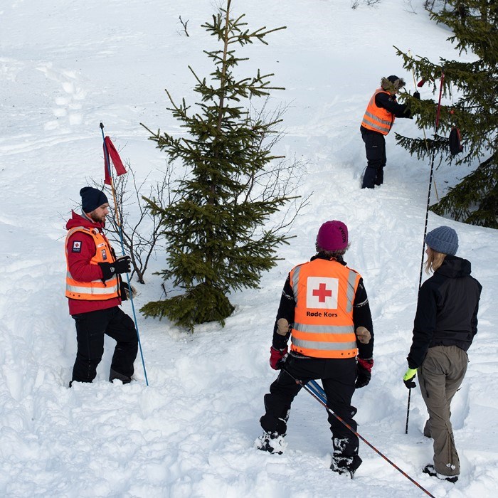 Frivillige fra Røde Kors stikker store pinner ned i snøen.