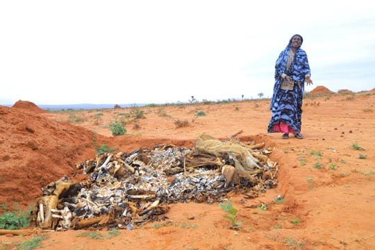 En kvinne står ved siden av en massegrav med buskapen hennes, tørke, ørken somalia