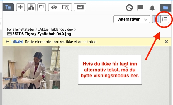 Hvor legger du inn alternativ tekst