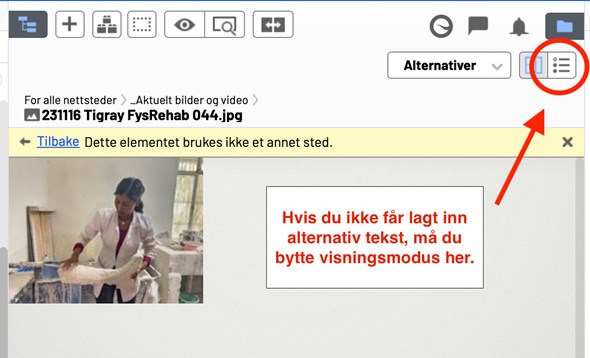 Hvor legger du inn alternativ tekst