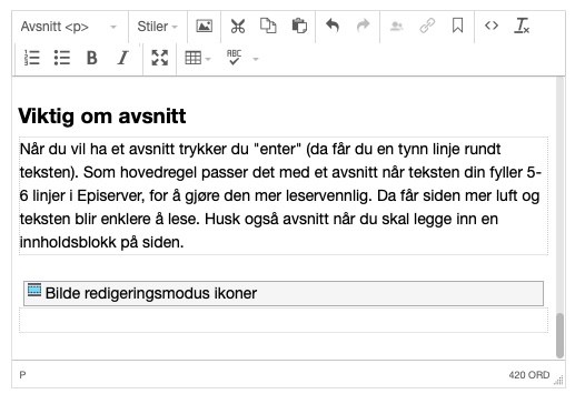 Skjermbilde som viser hvordan avsnitt ser ut i tekstredigeringen.